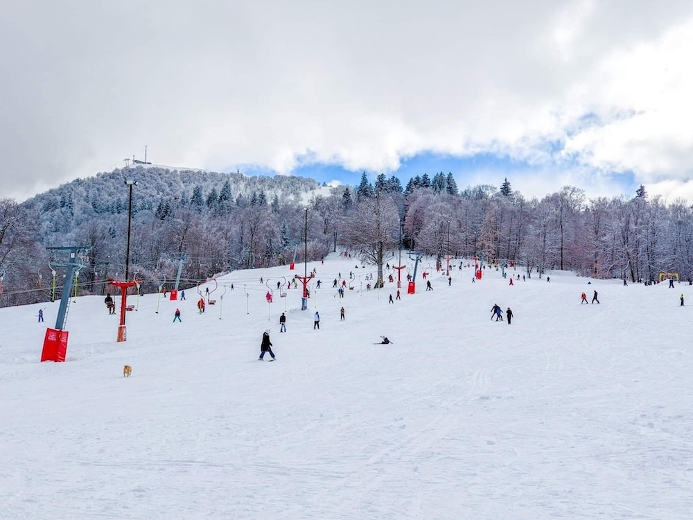 დღის ფოტო